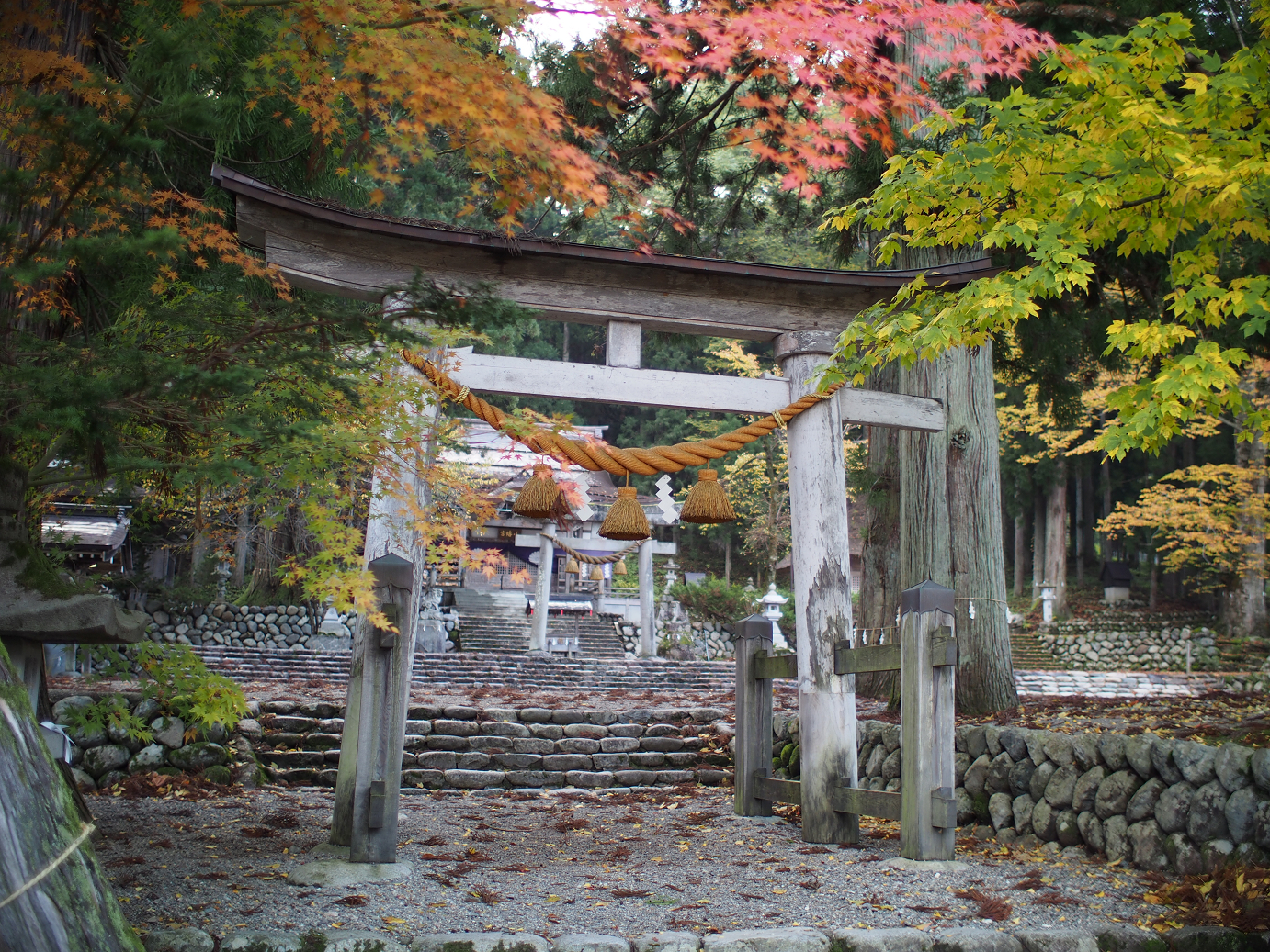 PB11080092.jpg