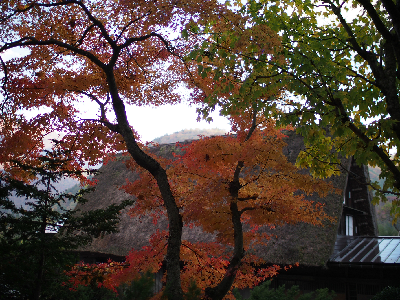 PB11080097.jpg