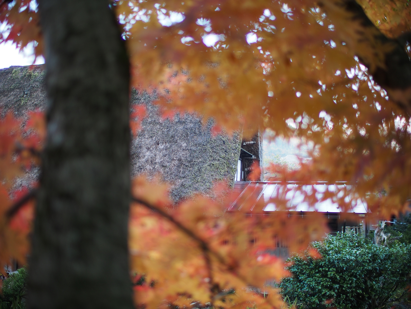PB11080100.jpg