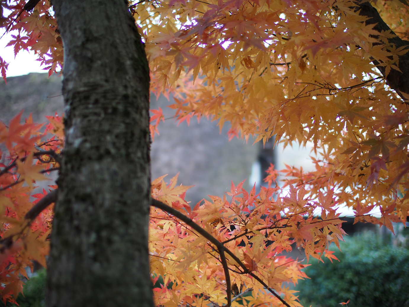 PB11080101.jpg