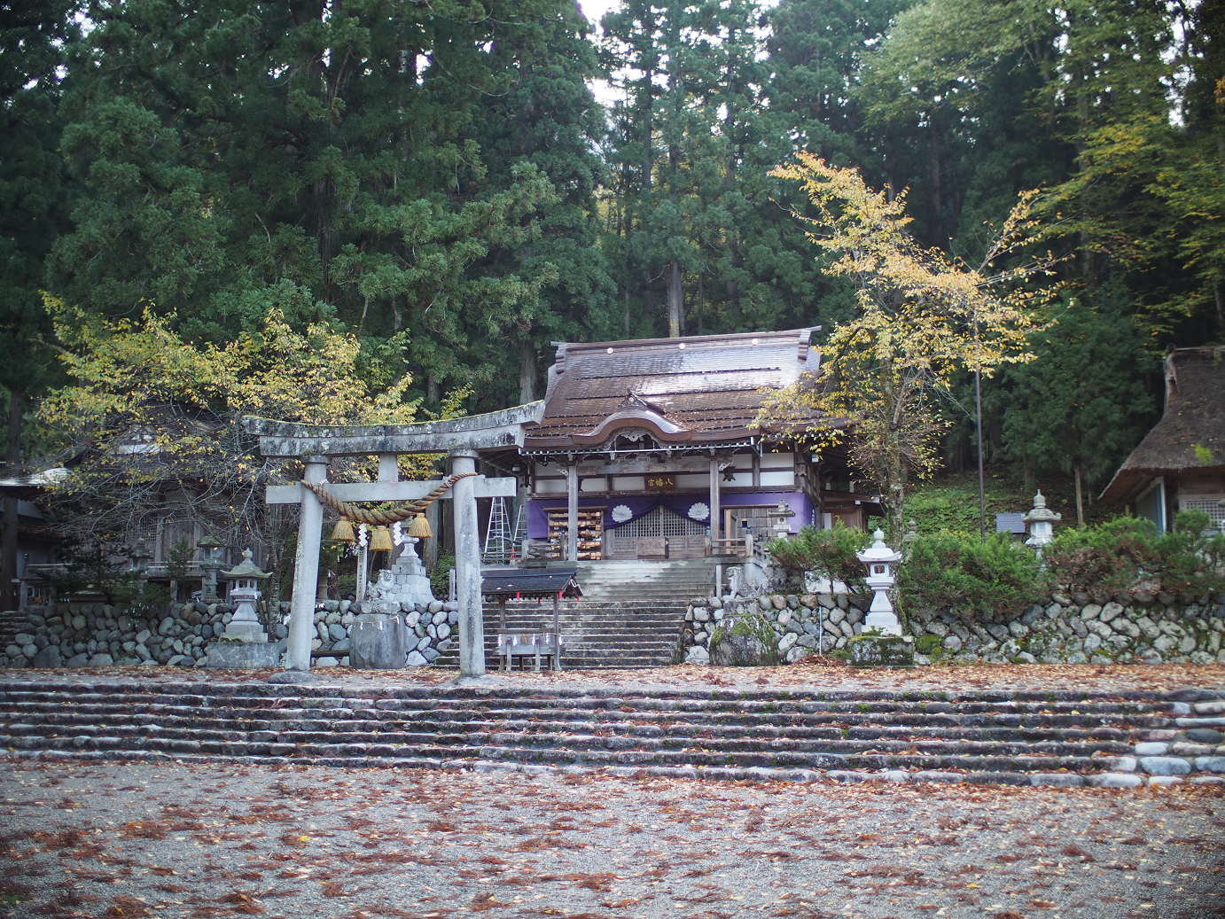 PB11080102.jpg