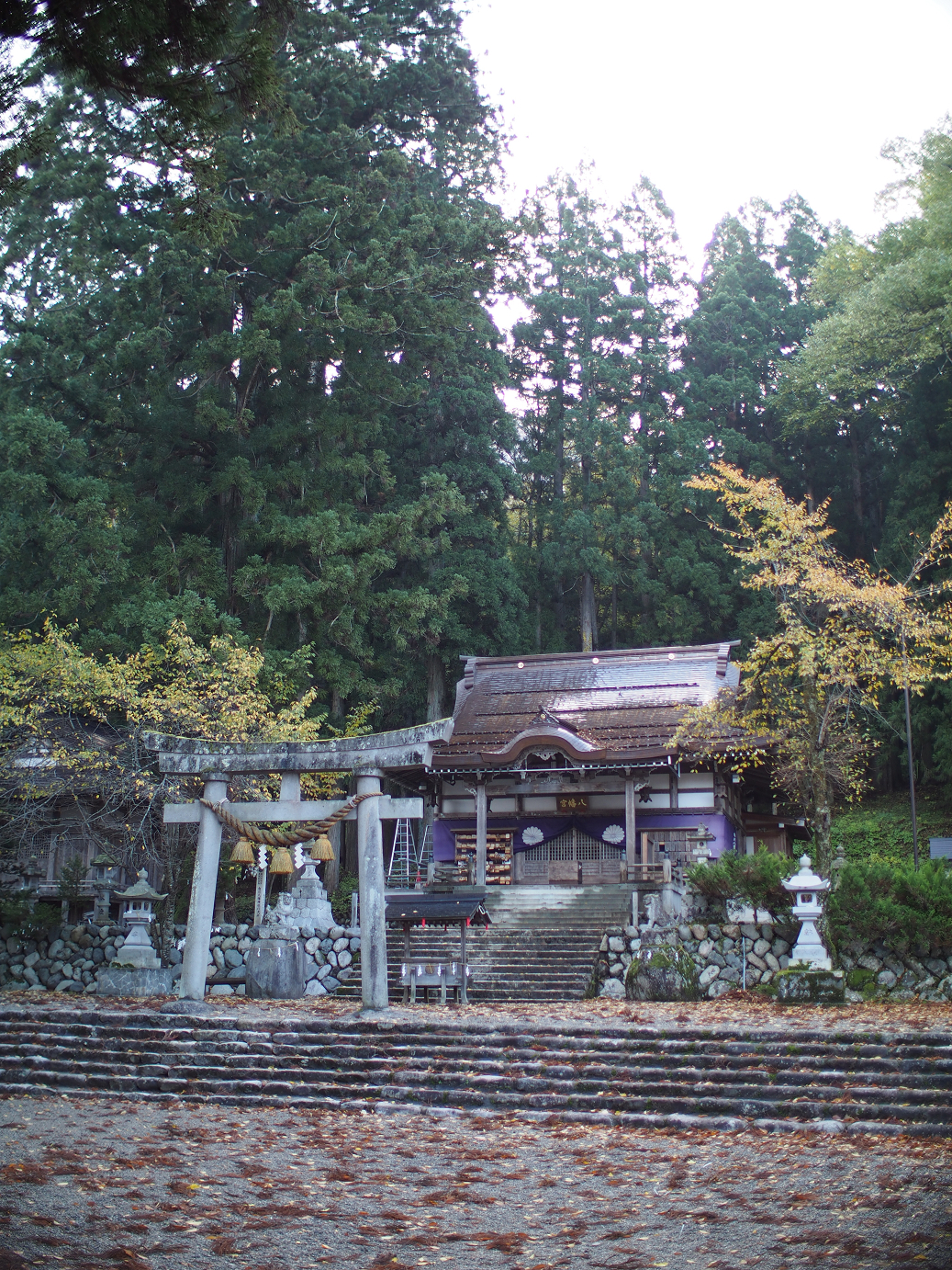 PB11080103.jpg