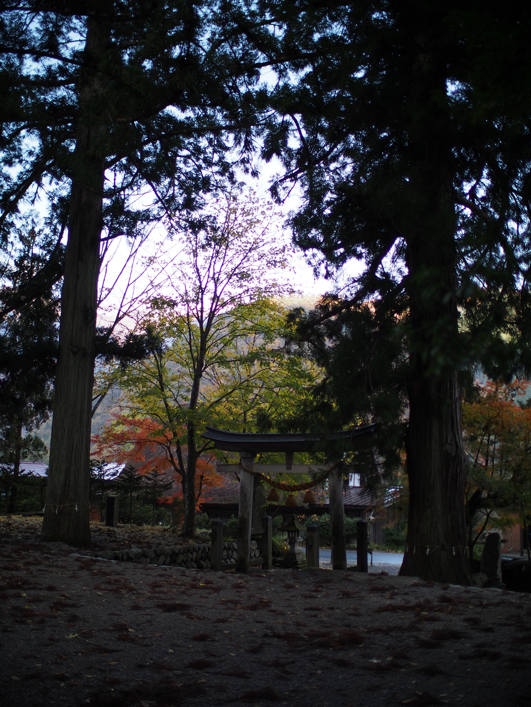 PB11080109.jpg