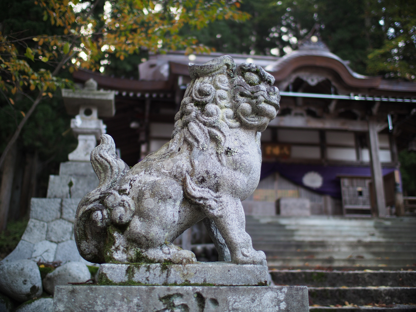 PB11080112.jpg