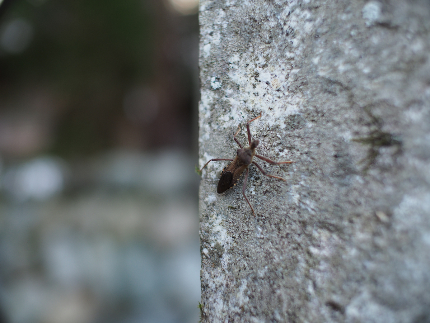 PB11080113.jpg