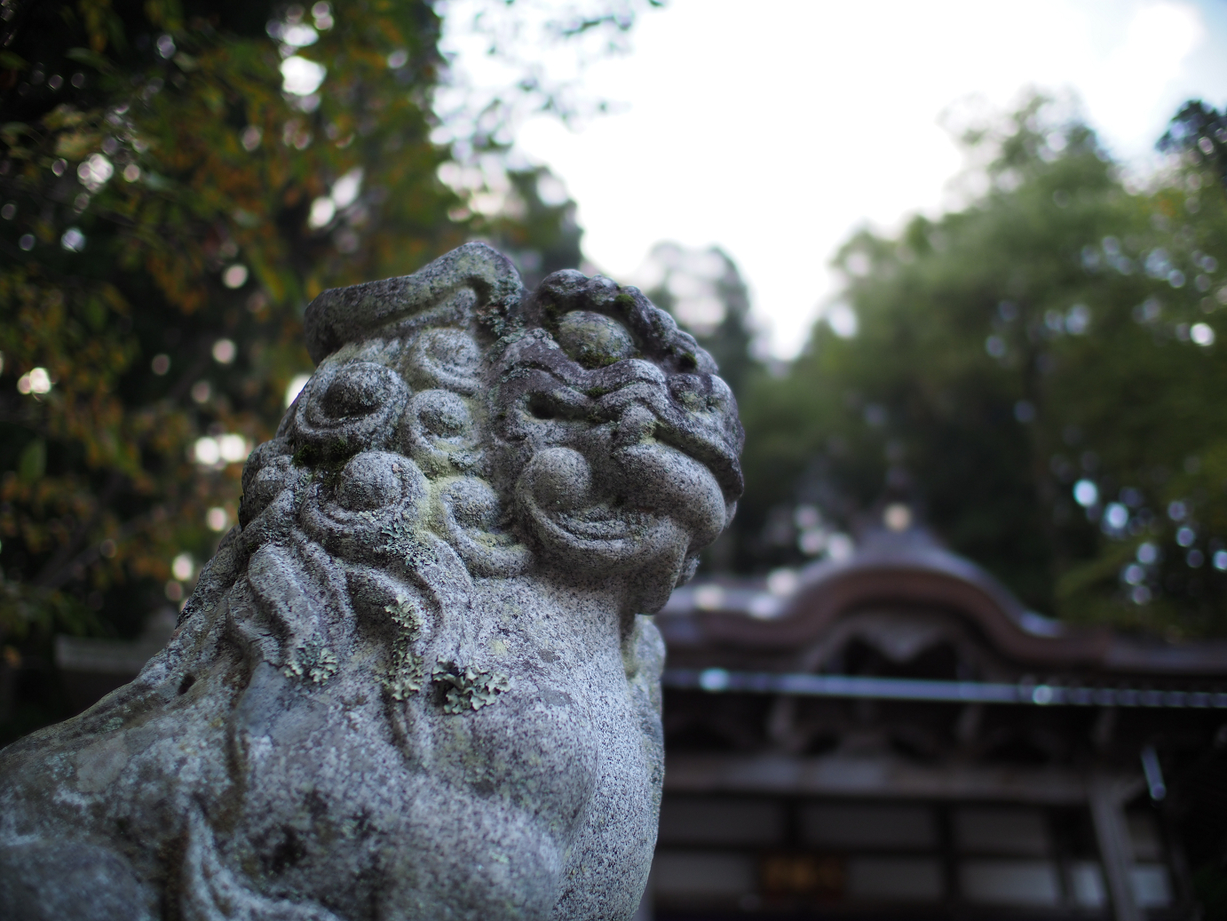 PB11080114.jpg
