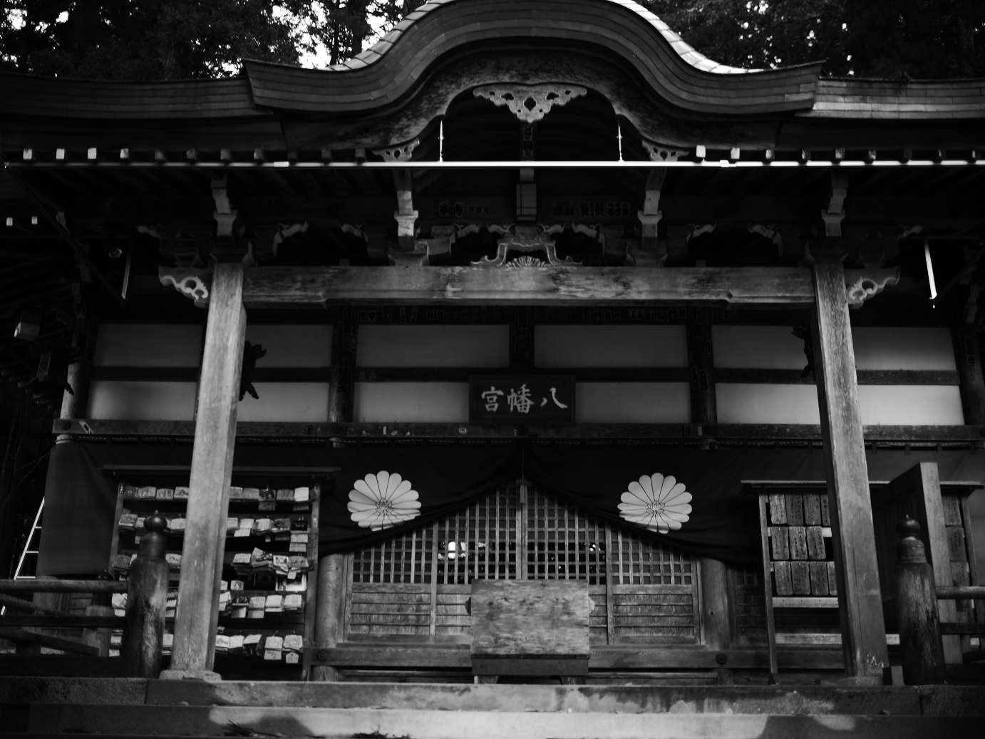 PB11080117.jpg