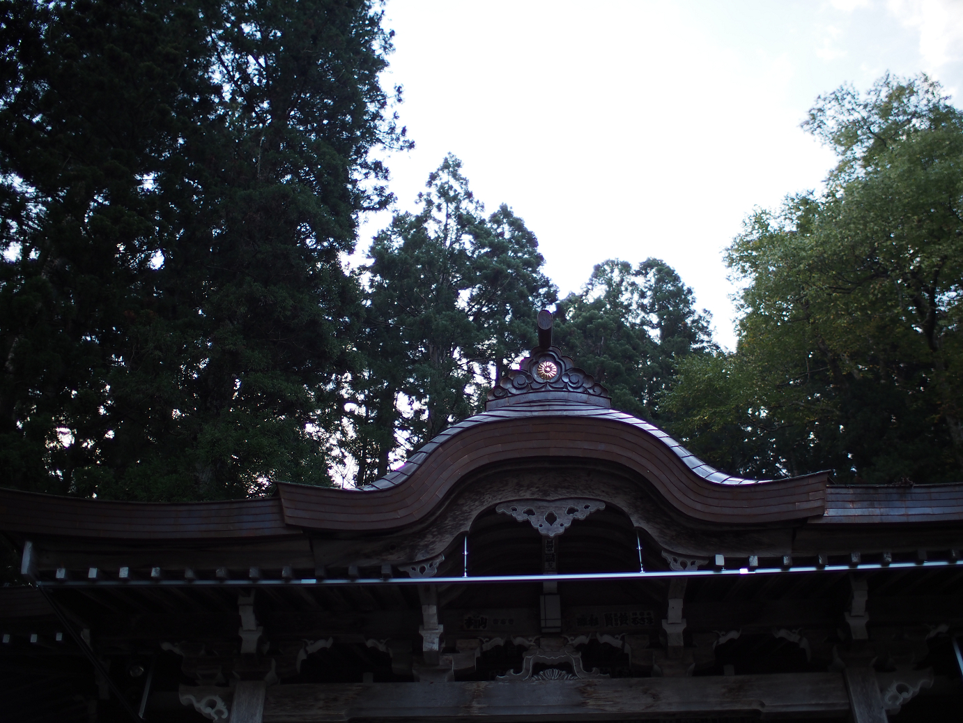 PB11080118.jpg