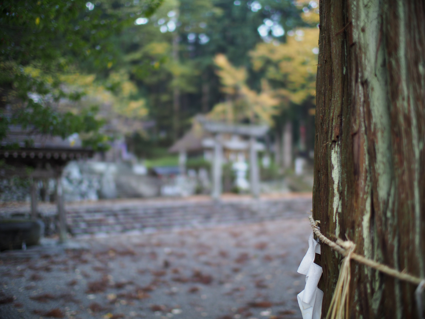 PB11080120.jpg