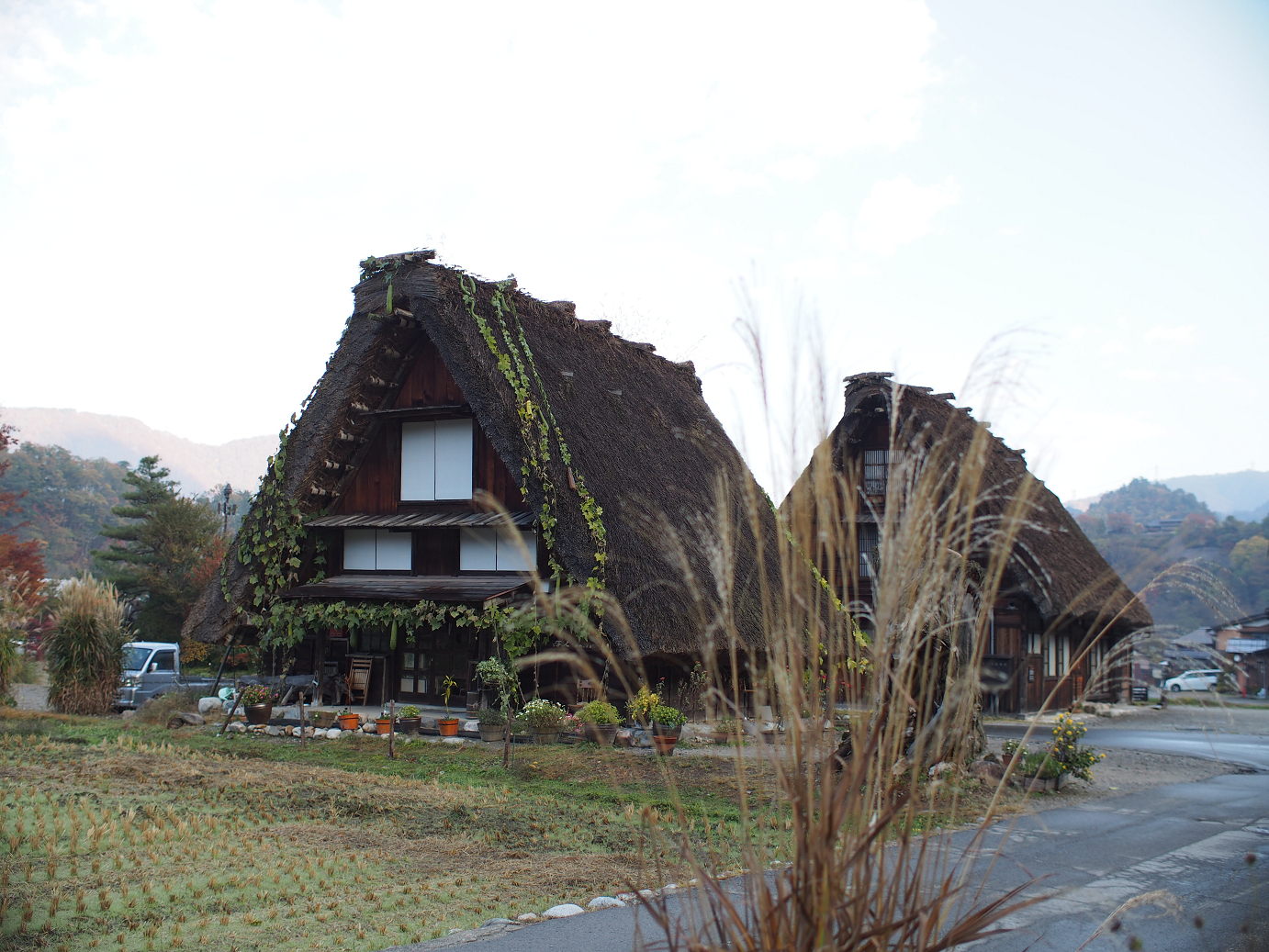 PB11080127.jpg