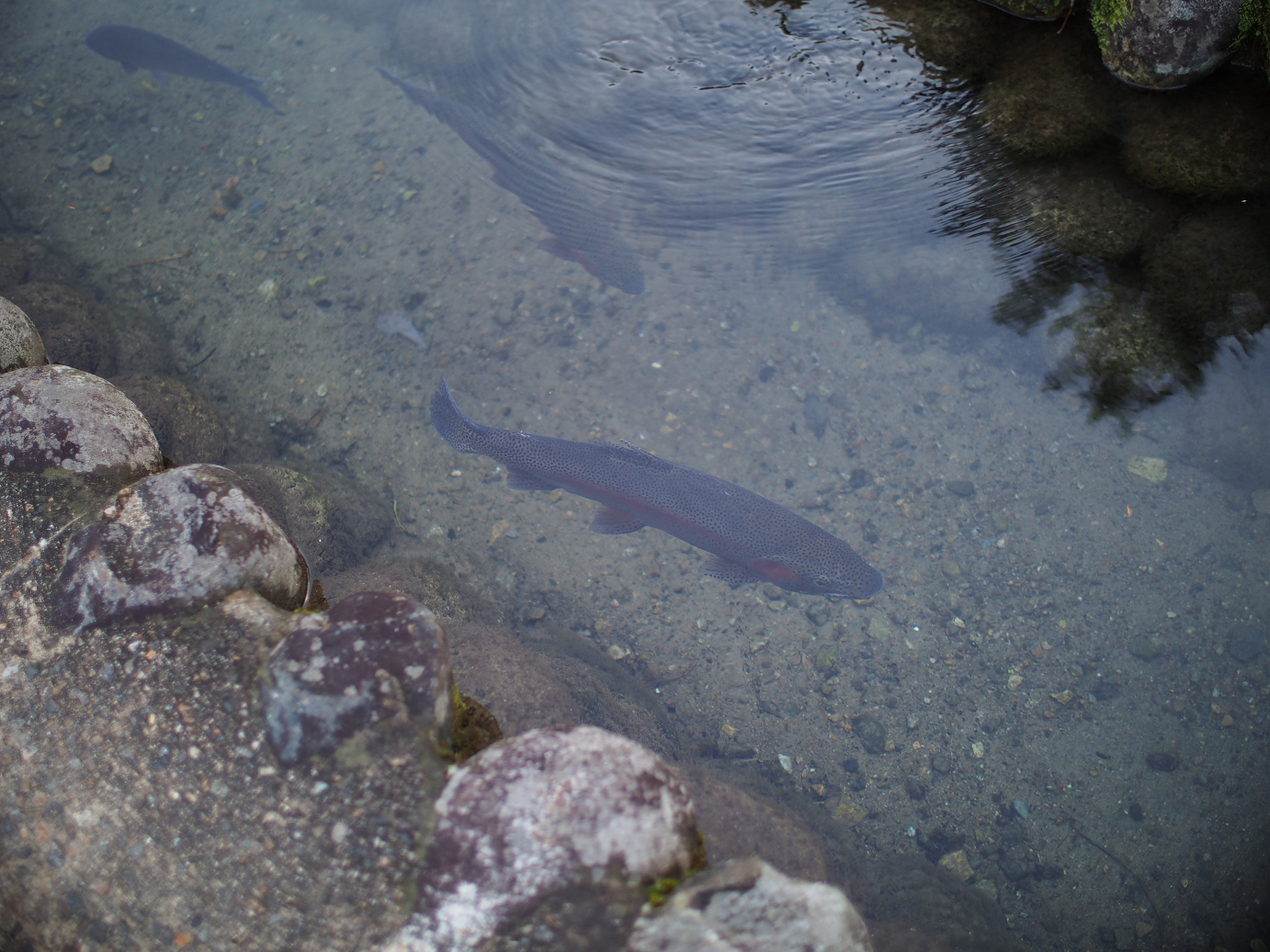 PB11080128.jpg