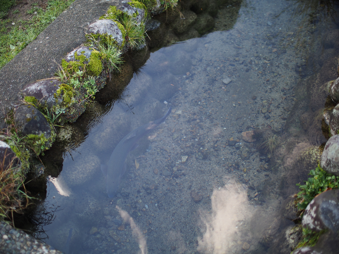 PB11080129.jpg