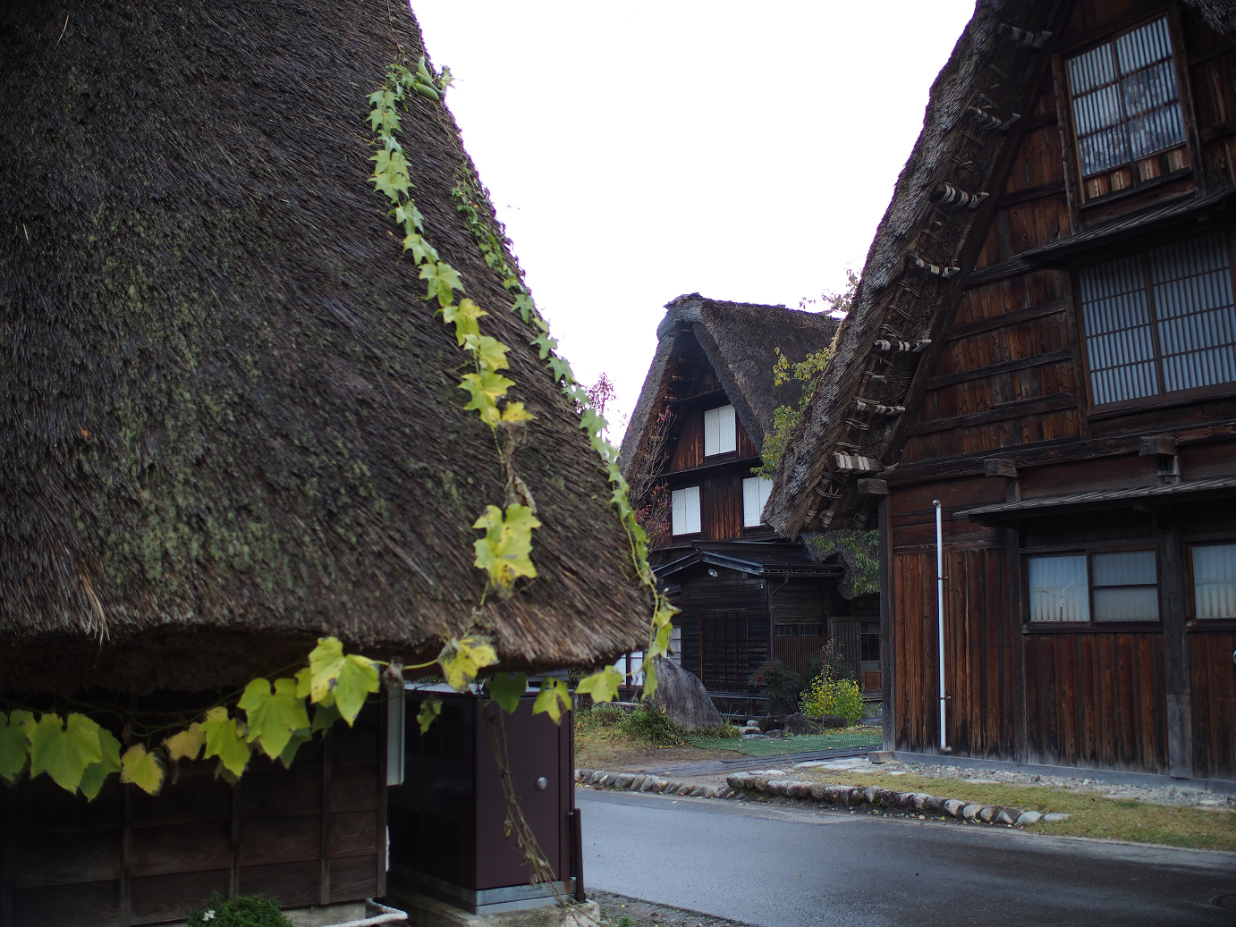 PB11080132.jpg