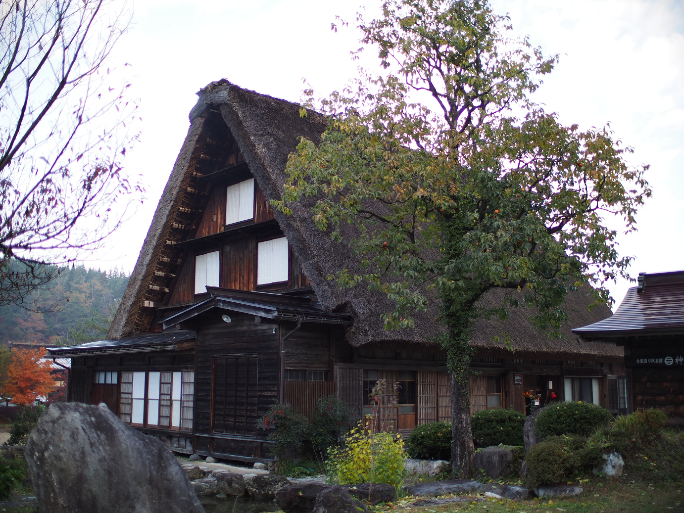 PB11080134.jpg