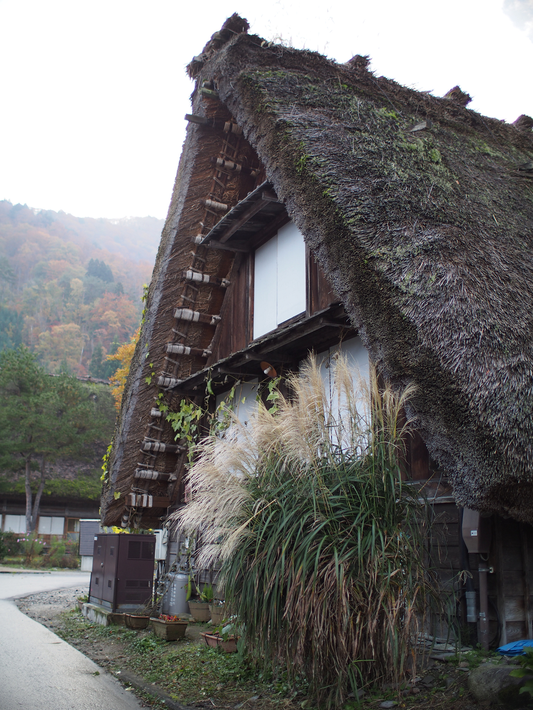 PB11080136.jpg