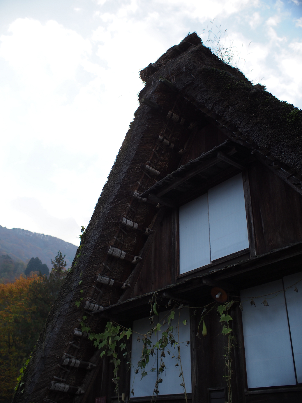 PB11080137.jpg