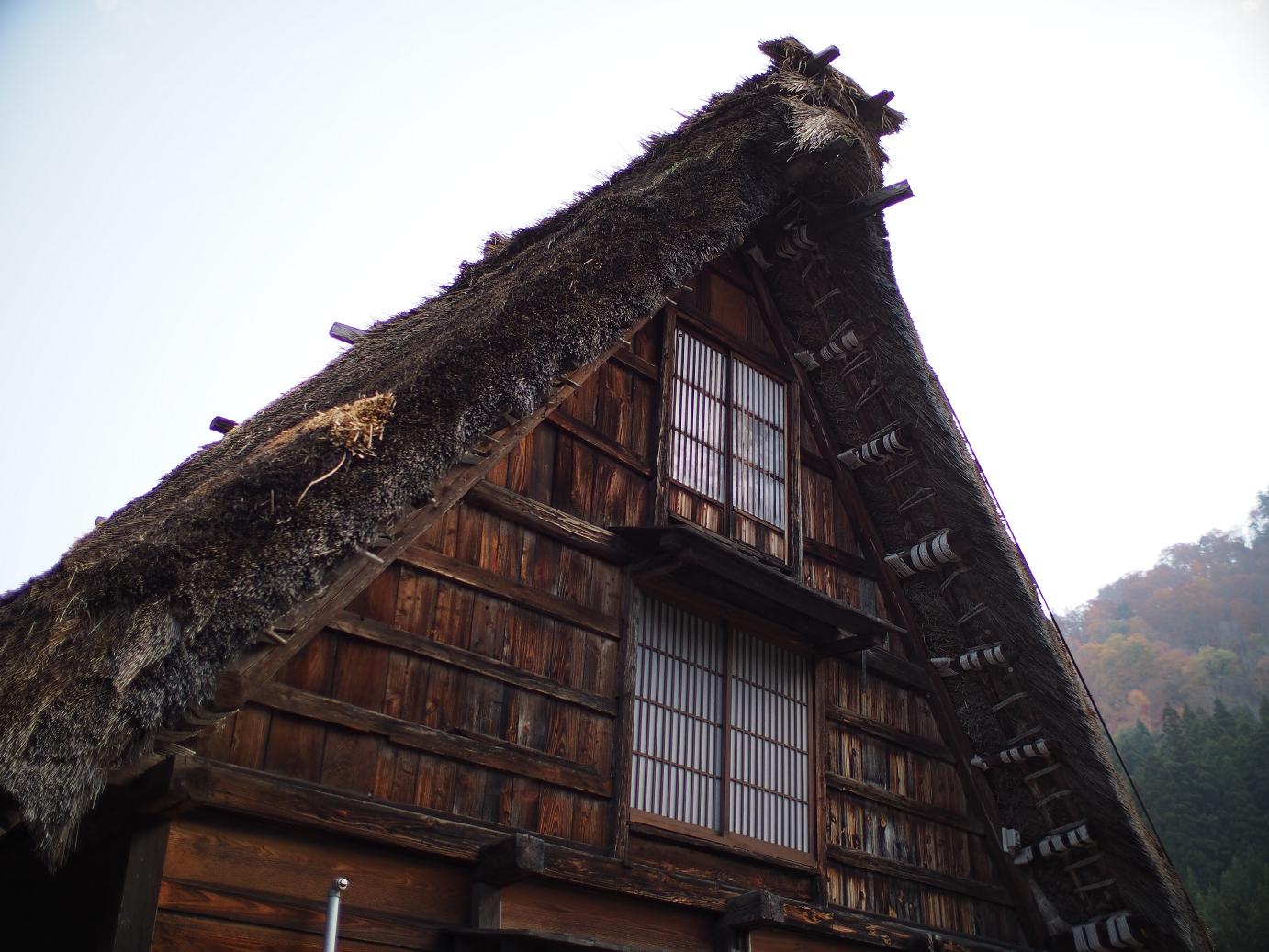 PB11080139.jpg