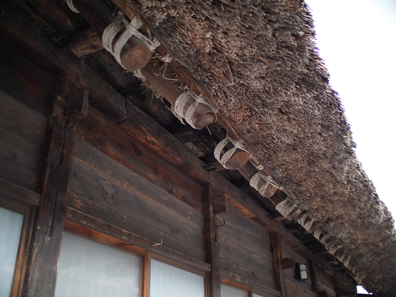 PB11080143.jpg