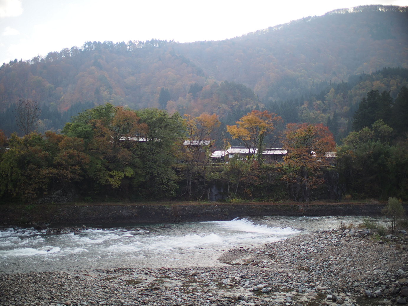 PB11080150.jpg