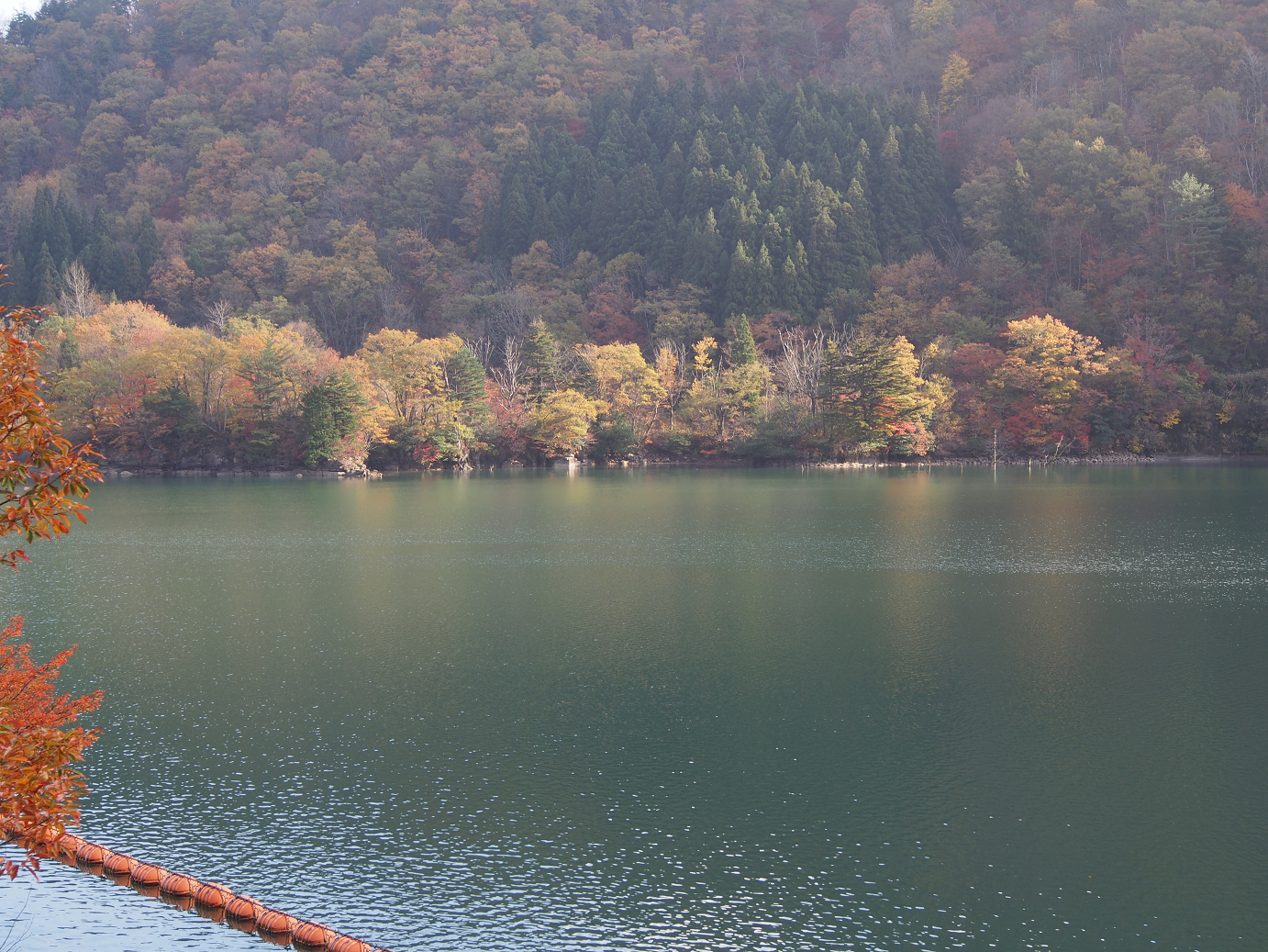 PB11080154.jpg
