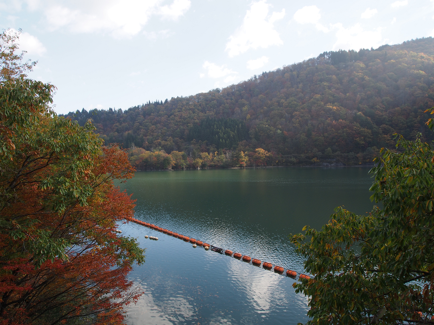 PB11080155.jpg