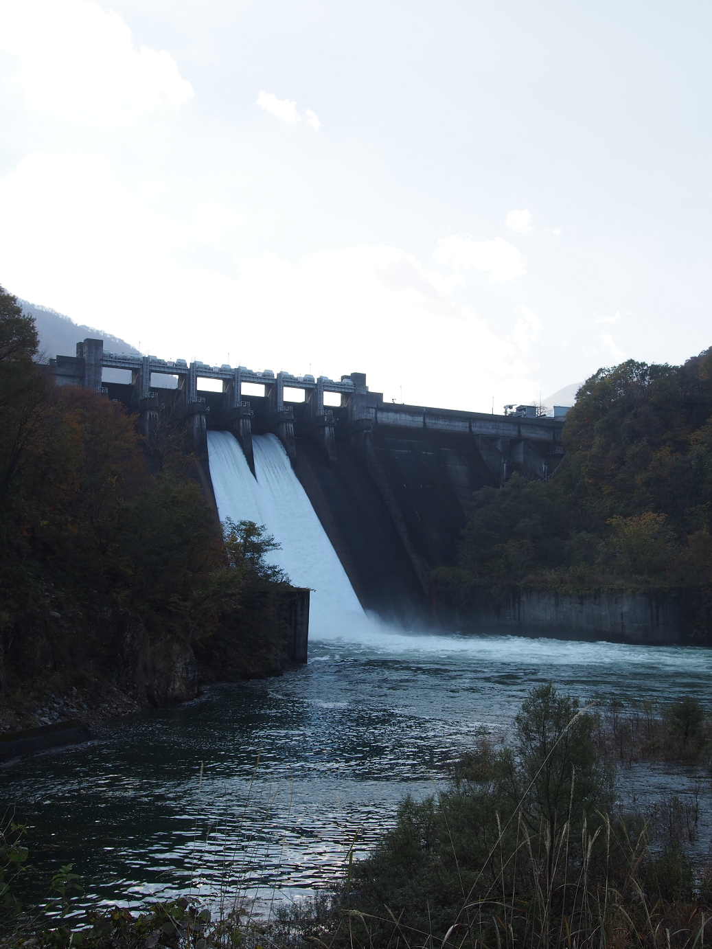 PB11080156.jpg