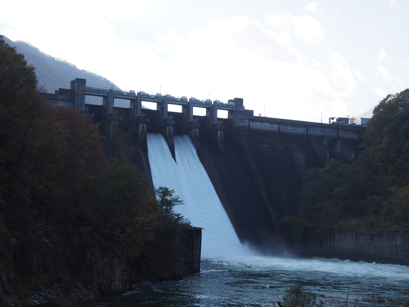 PB11080157.jpg