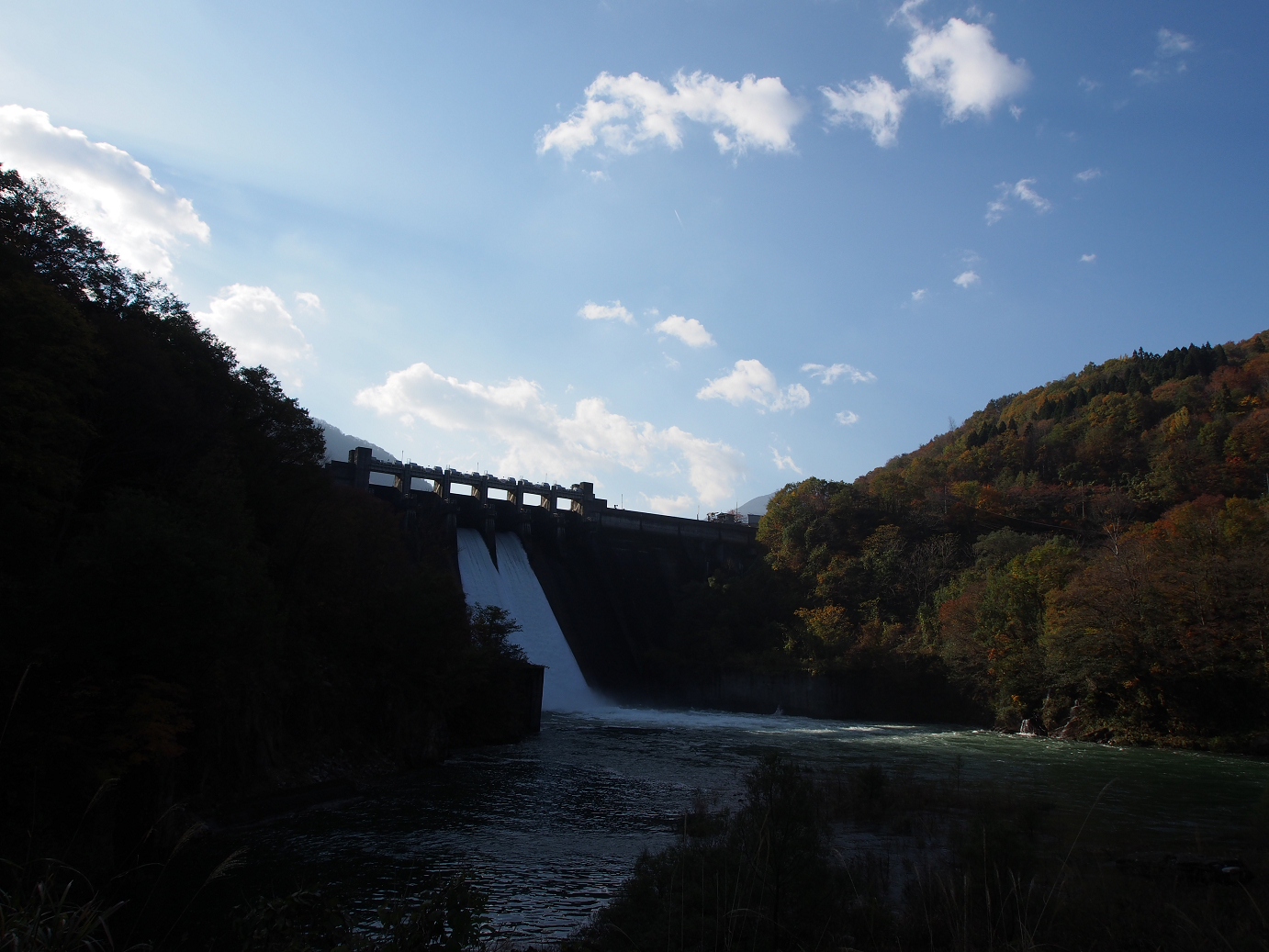 PB11080159.jpg