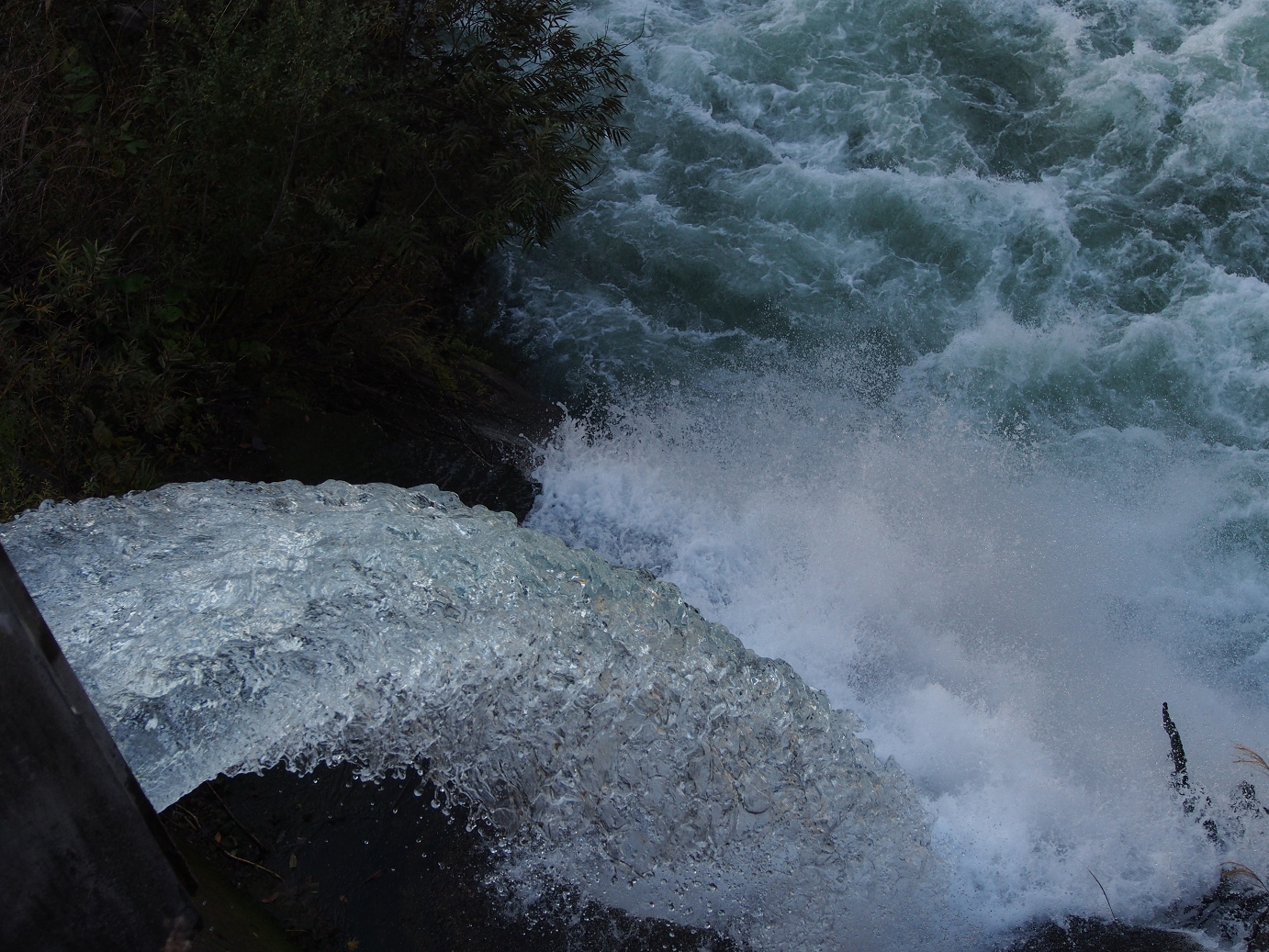 PB11080162.jpg