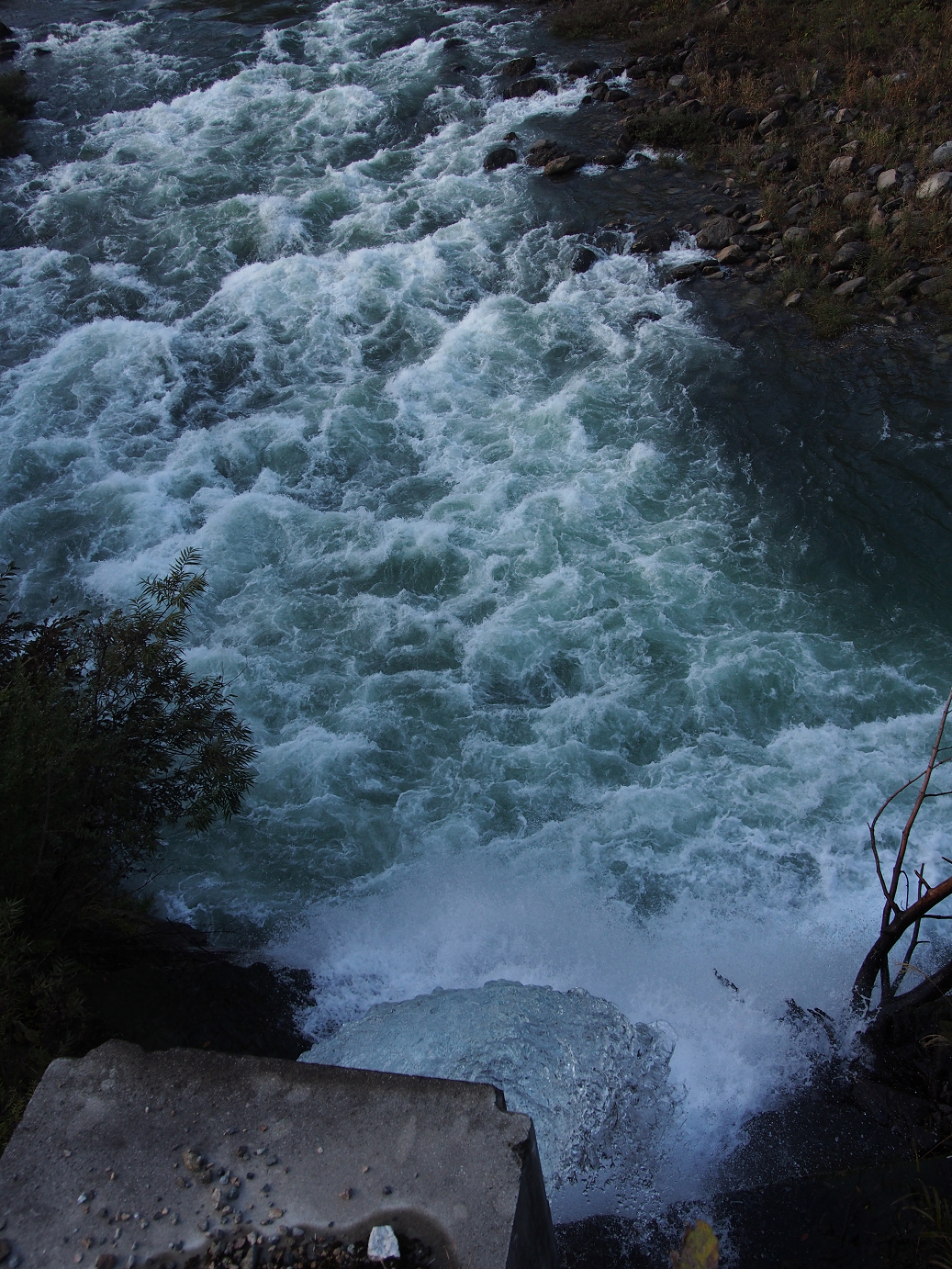 PB11080164.jpg