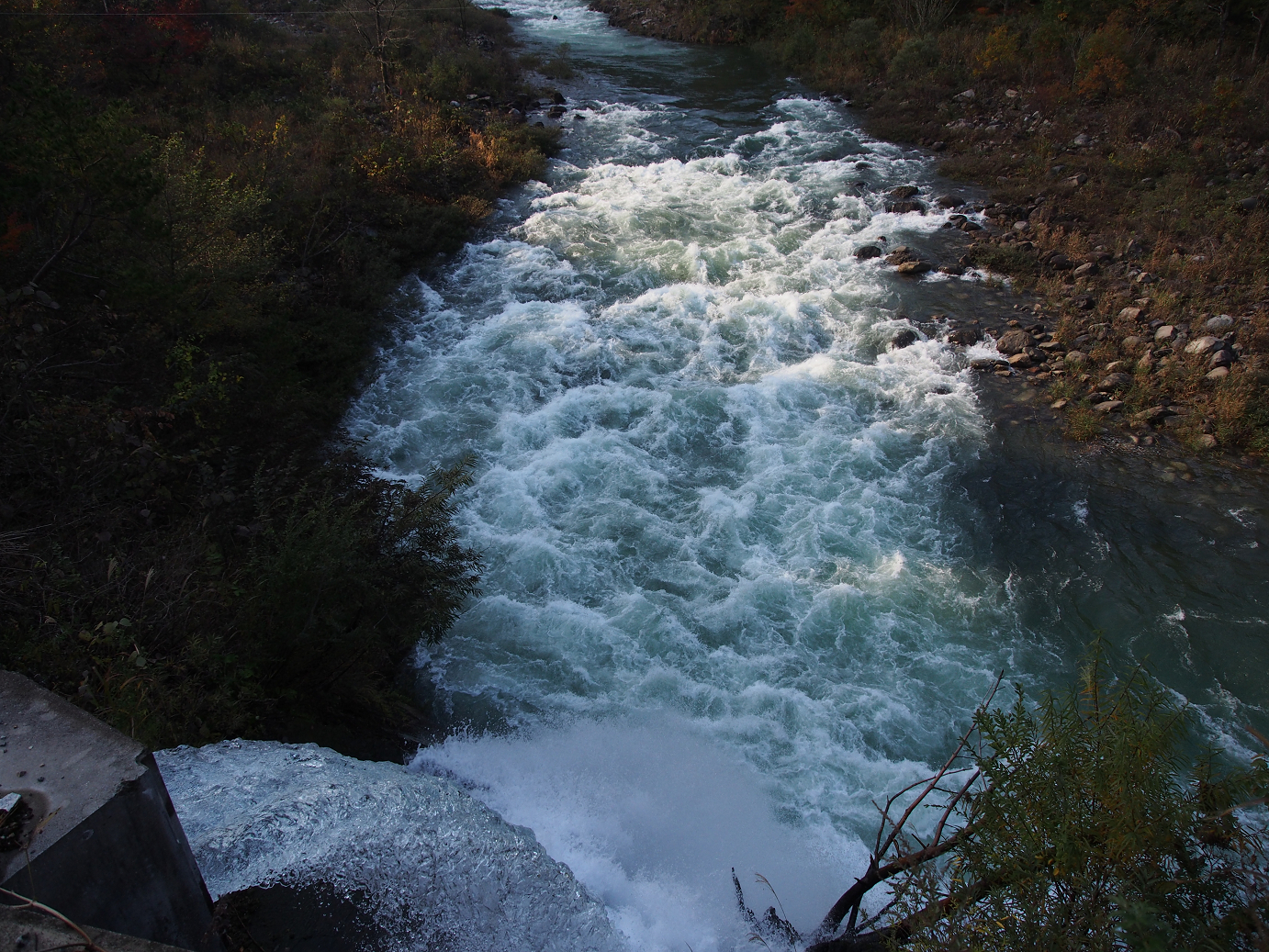 PB11080165.jpg