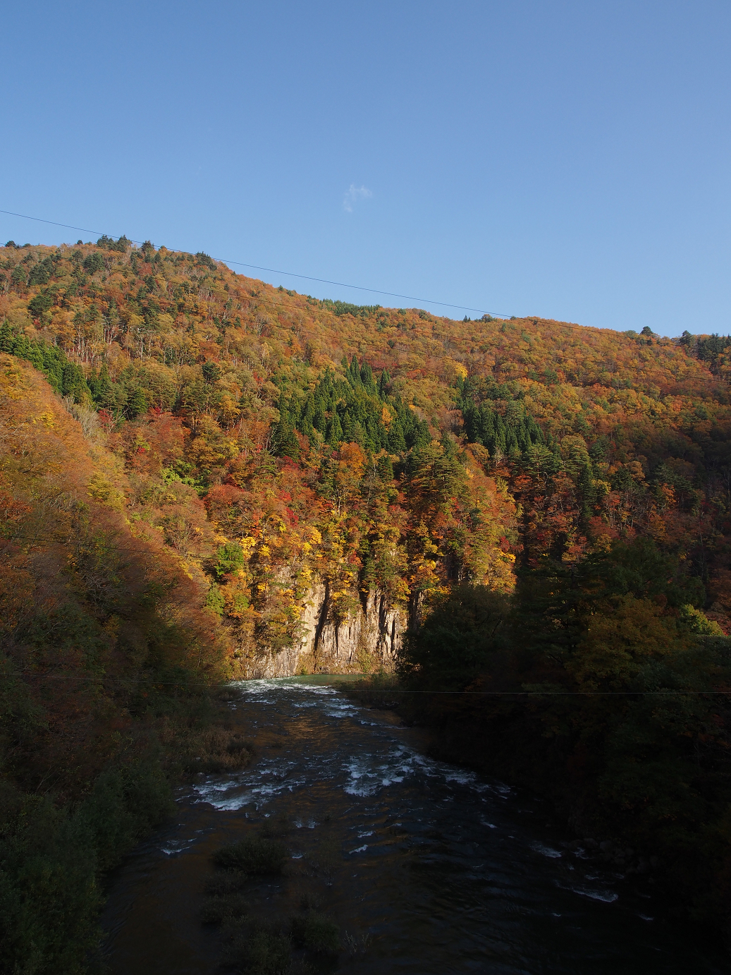 PB11080166.jpg