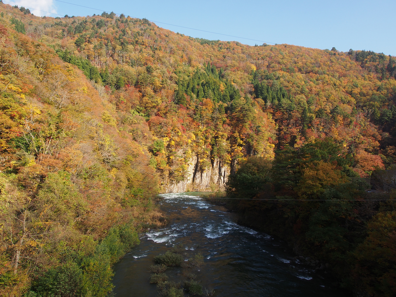 PB11080167.jpg