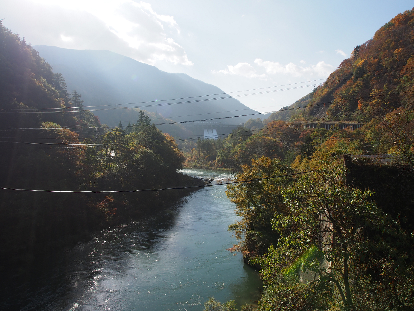 PB11080168.jpg