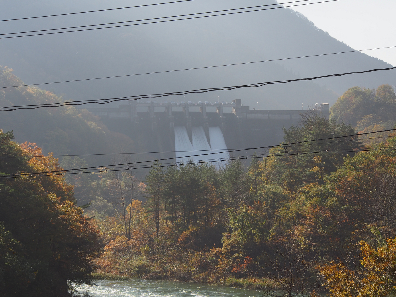 PB11080169.jpg