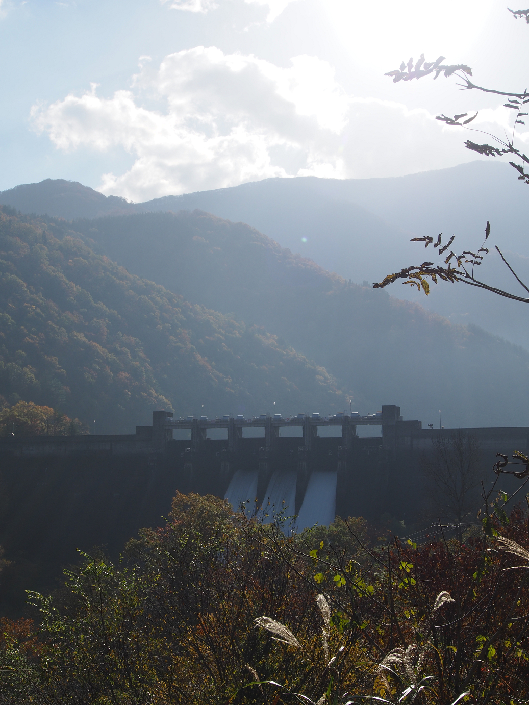 PB11080173.jpg