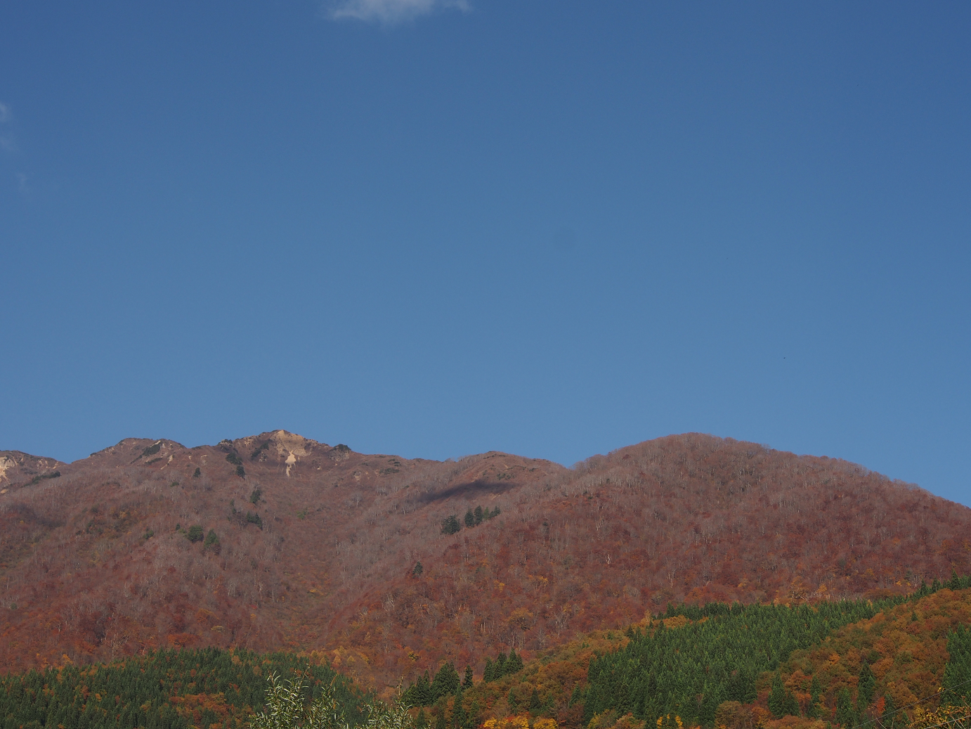 PB11080178.jpg