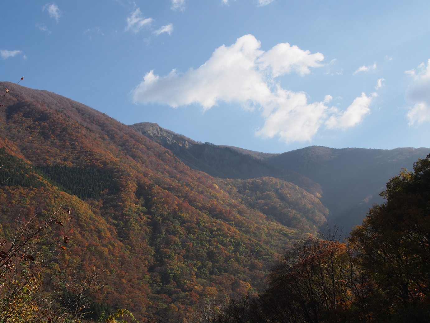 PB11080181.jpg