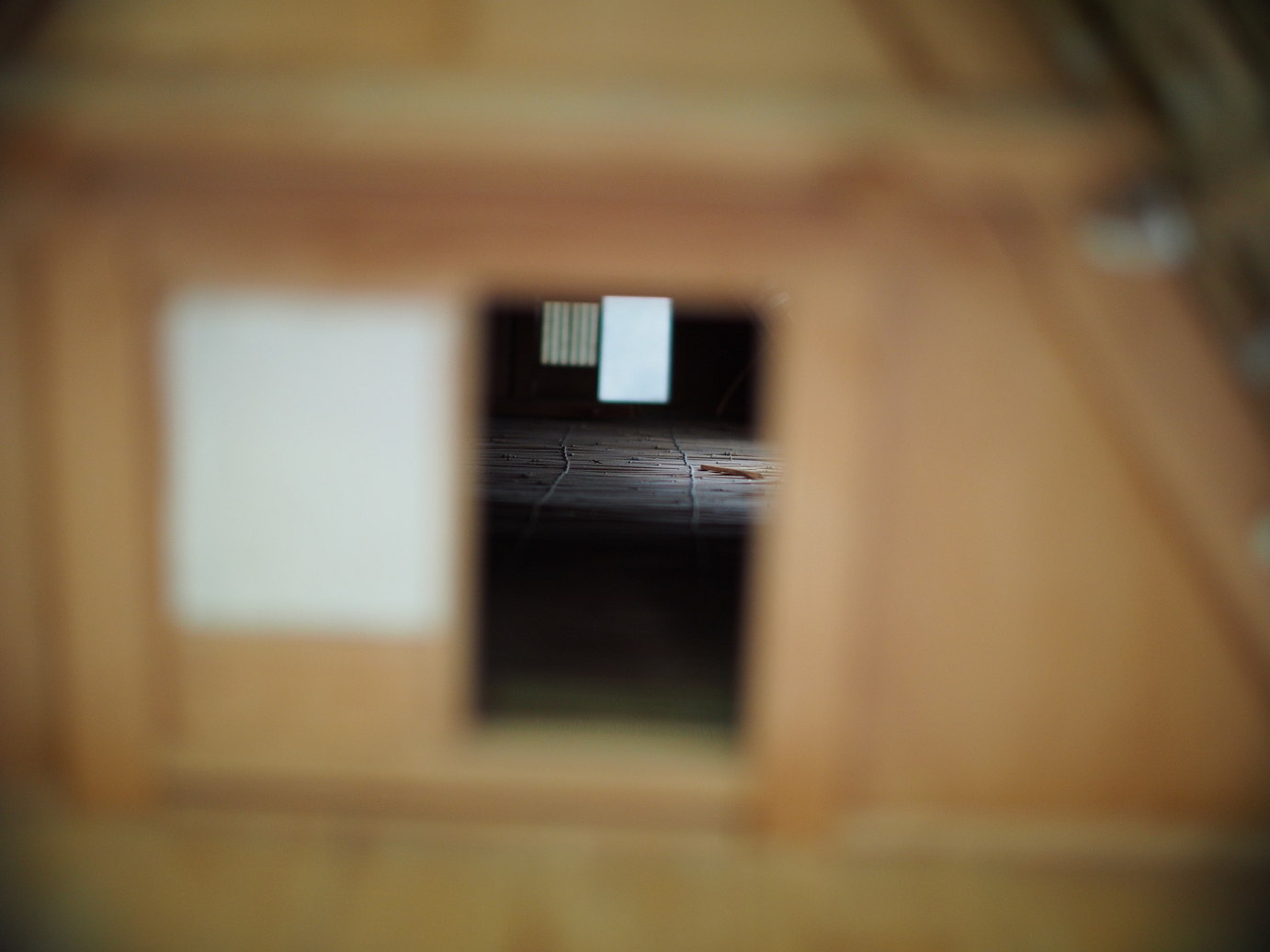PB11080195.jpg