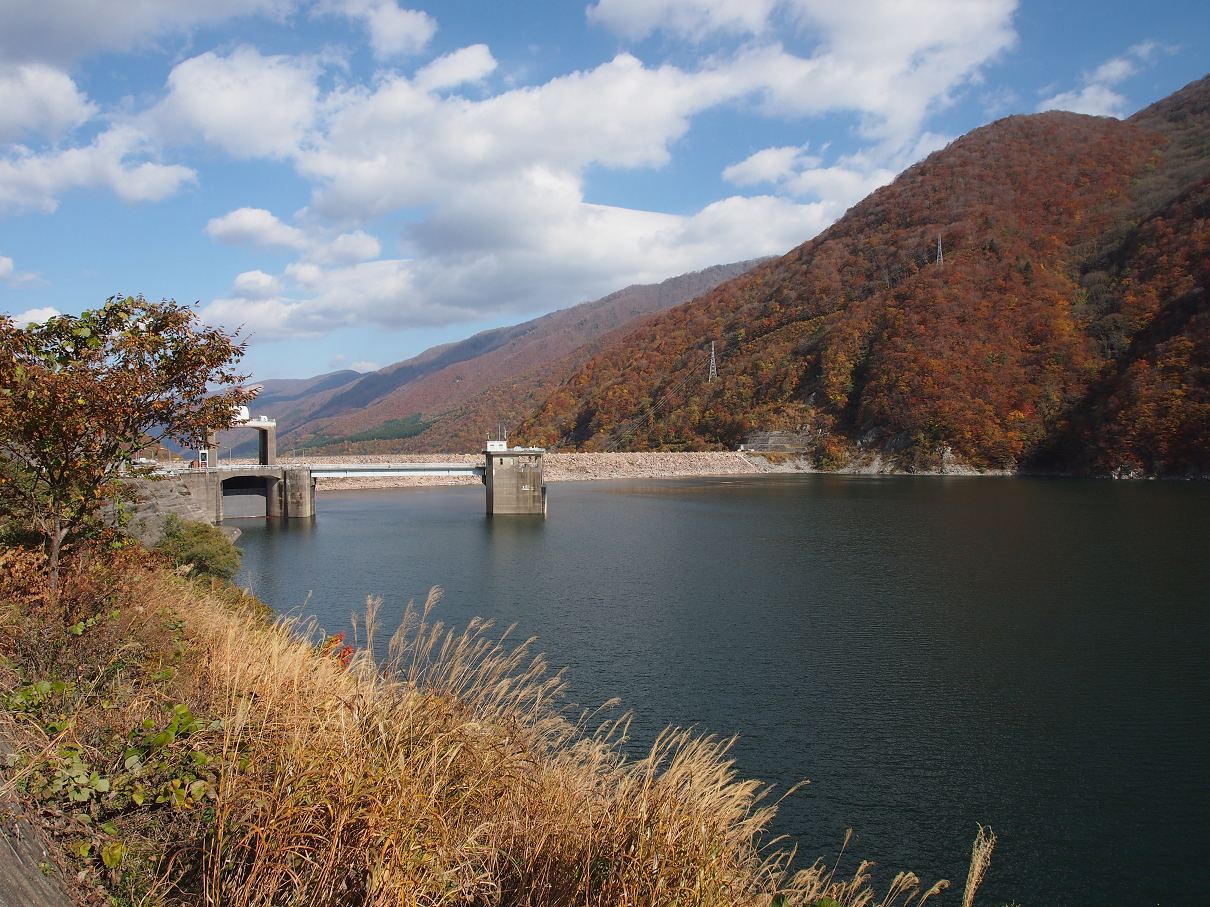 PB11080212.jpg