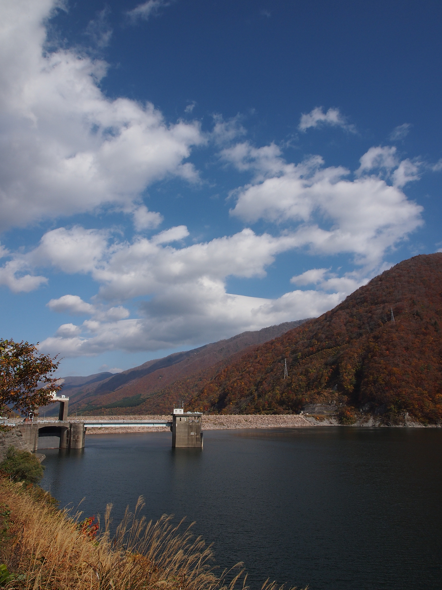PB11080213.jpg