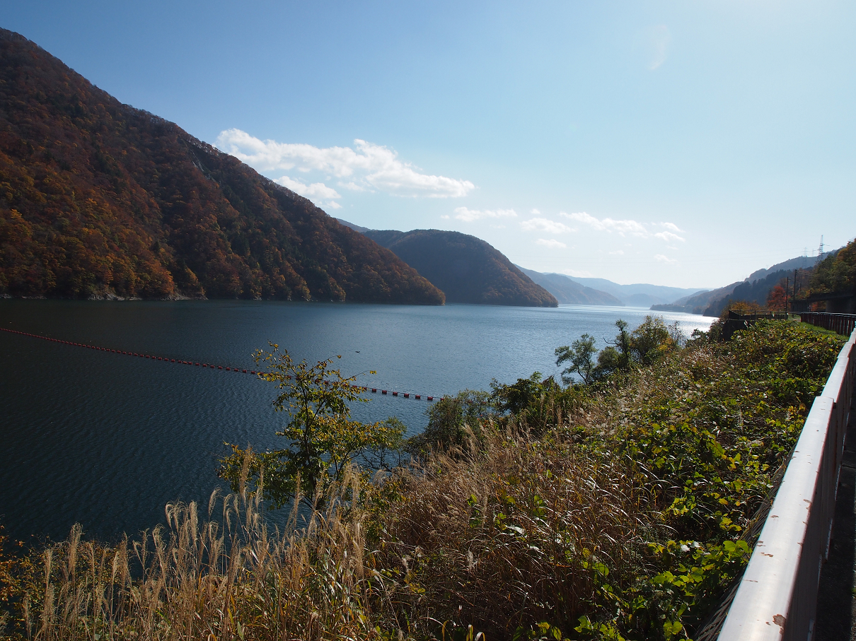 PB11080214.jpg