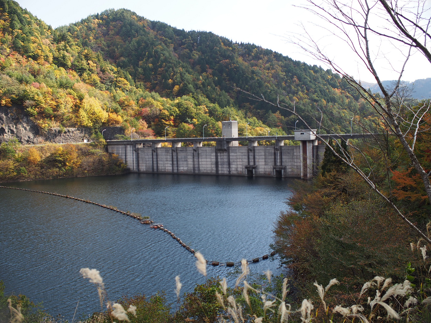 PB11080215.jpg