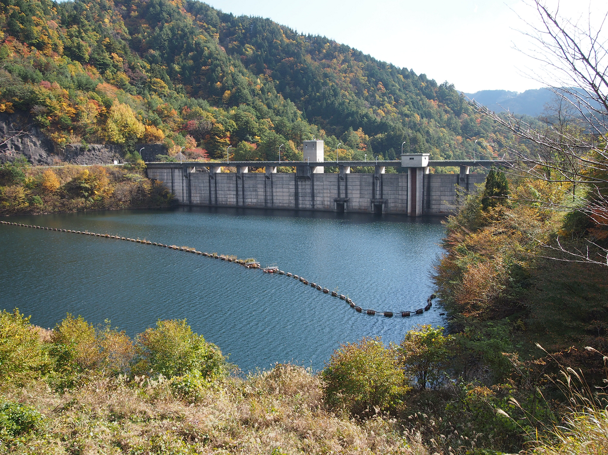PB11080219.jpg