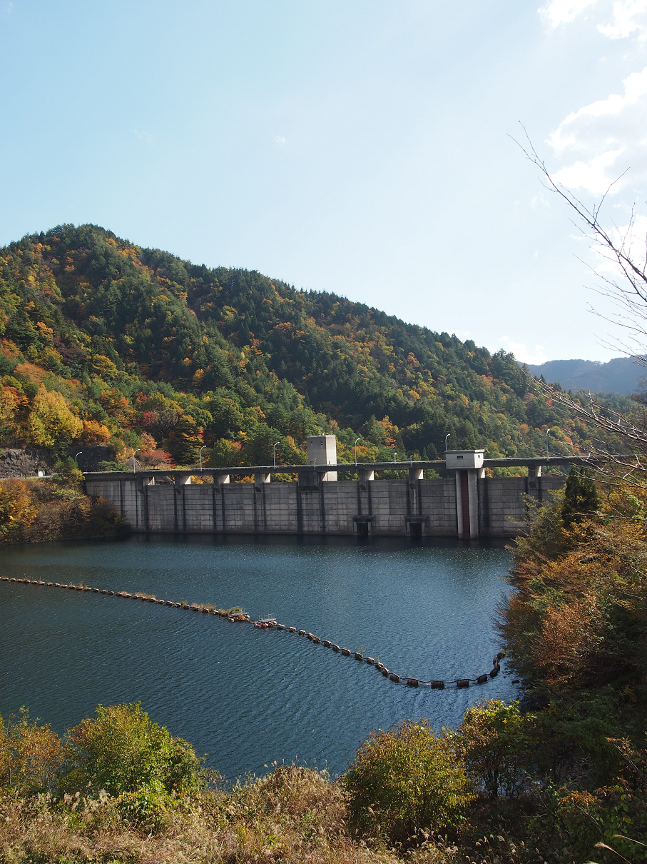 PB11080220.jpg