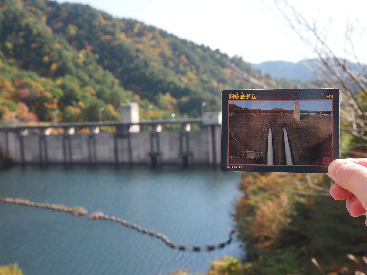 PB11080221.jpg