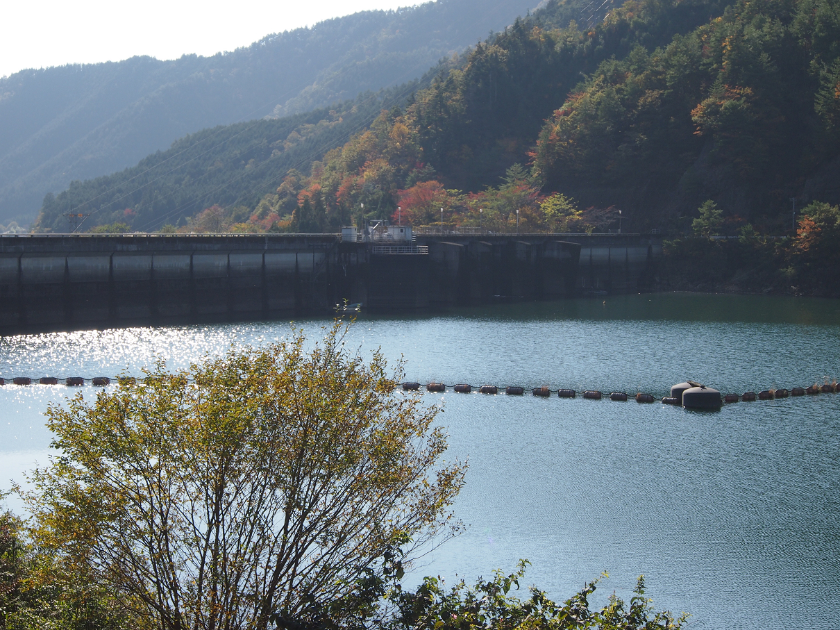 PB11080225.jpg