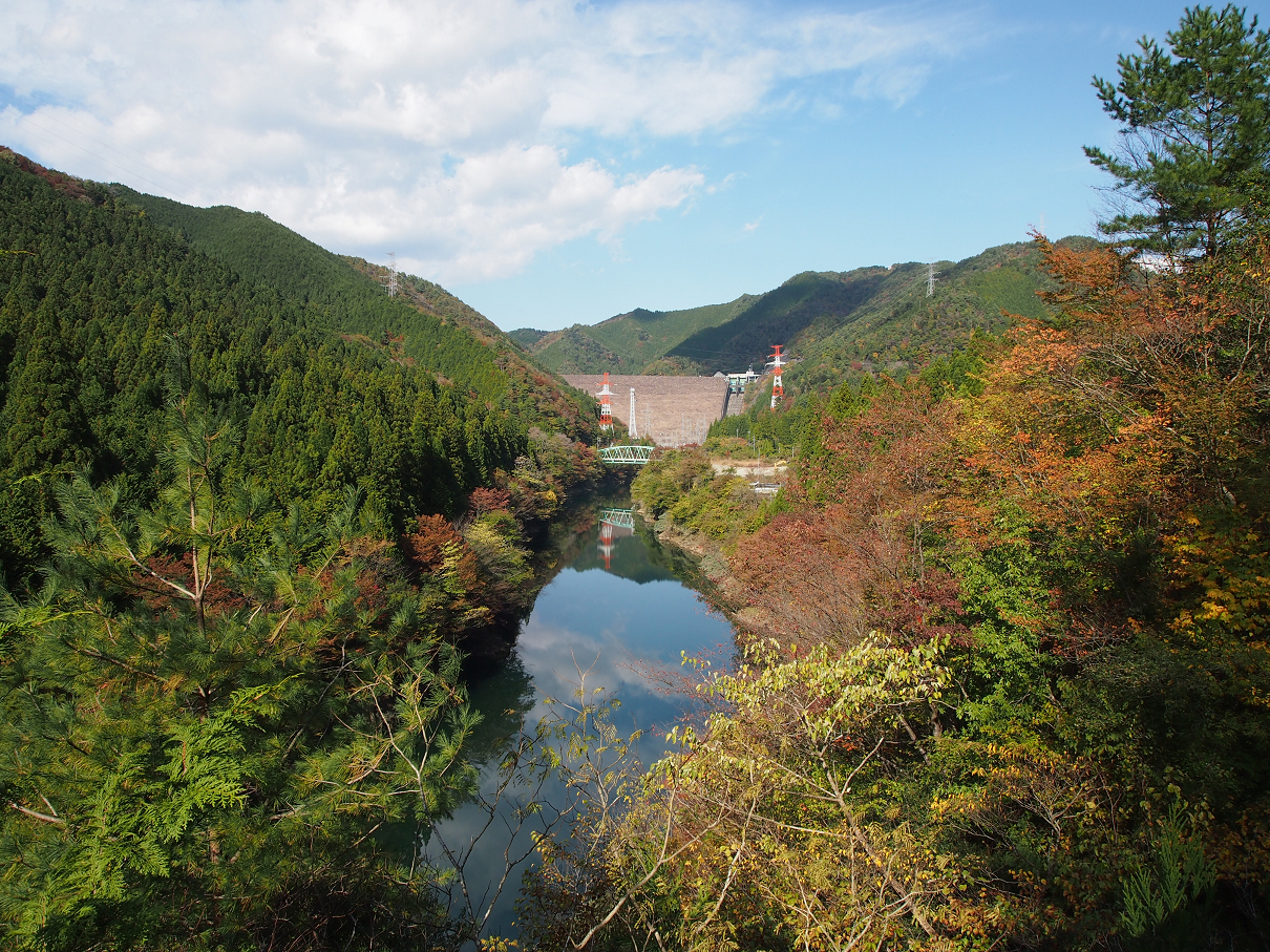 PB11080228.jpg