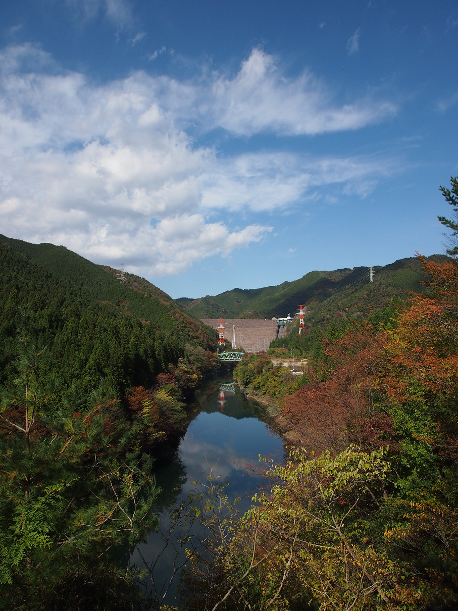 PB11080229.jpg