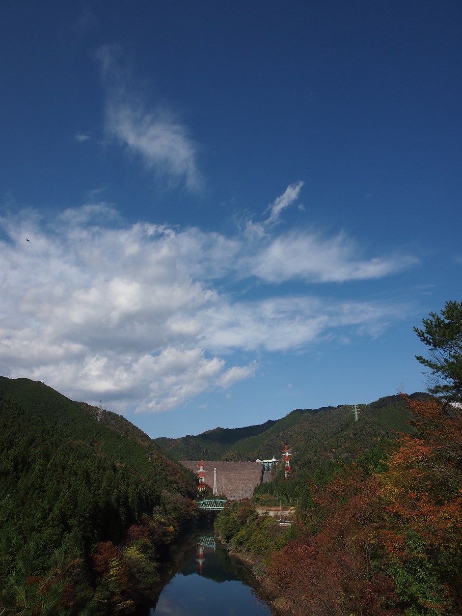 PB11080234.jpg